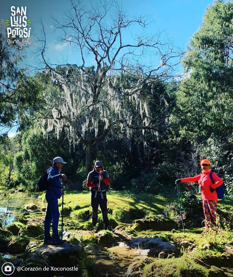 Foto: San Luis Potosi Turismo.