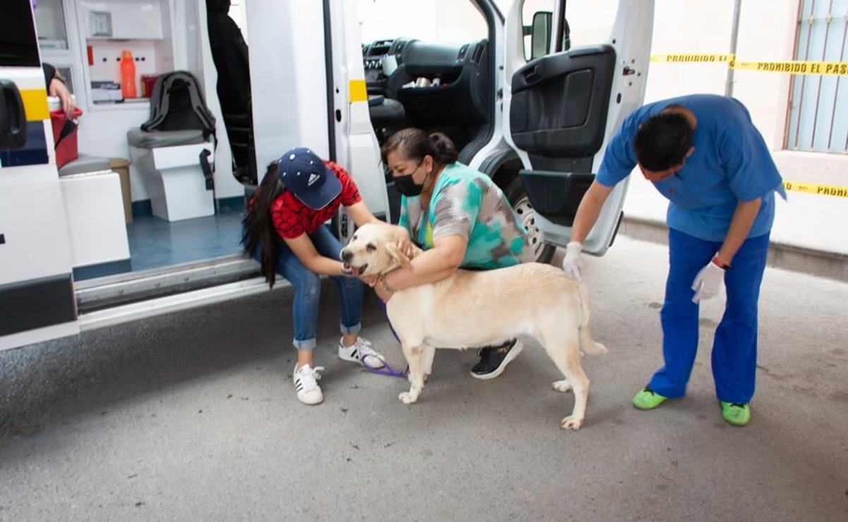 En dos semanas arranca construcción de refugio de animales en Soledad