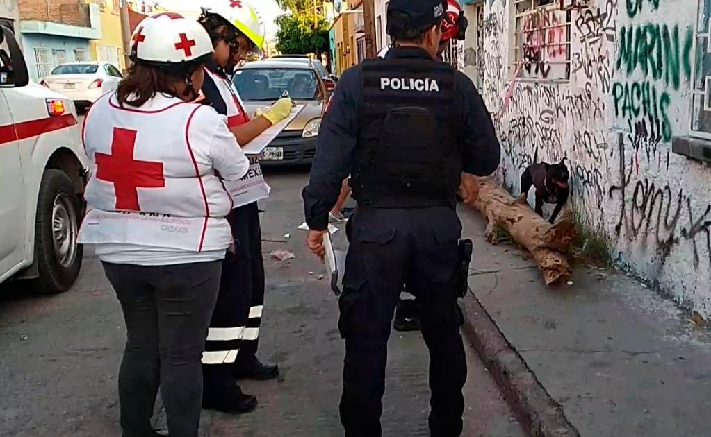 Perro y dueño son baleados en la Julián Carrillo 