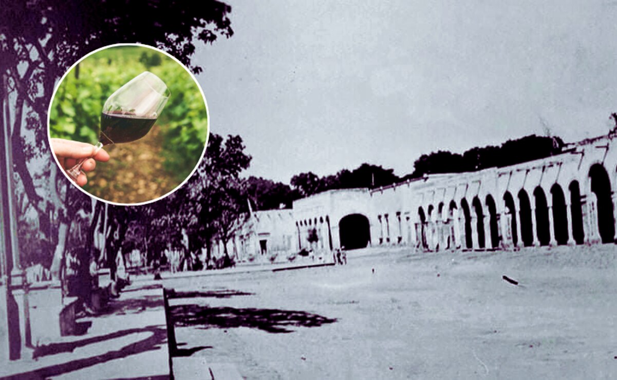 Valle de San Francisco, buscan el resurgimiento de zona vinícola de SLP. Foto: Redes sociales