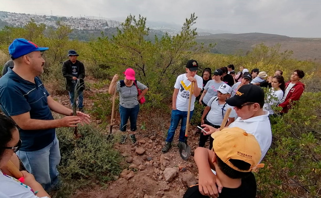 Reforestan Zona Metropolitana