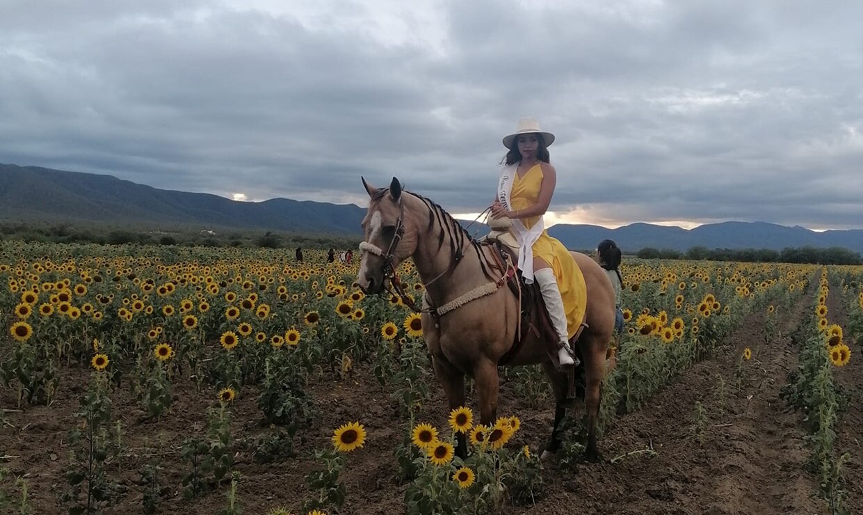 Foto: Facebook Turismo Municipal Cerritos