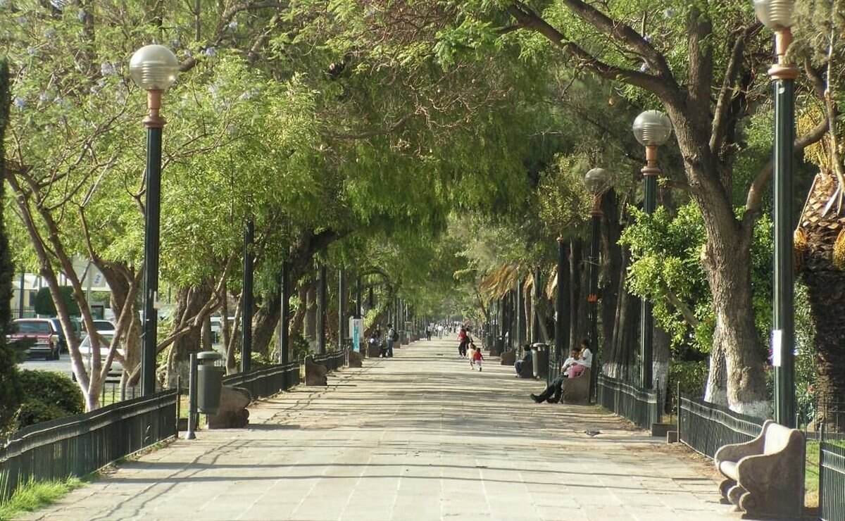 Calzada de Guadalupe, el paseo peatonal de casi 2 mil metros que conquista SLP