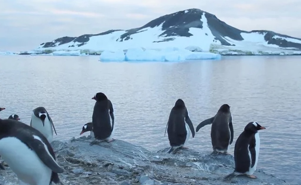 Robot submarino graba los cimientos de un glaciar que podría desaparecer