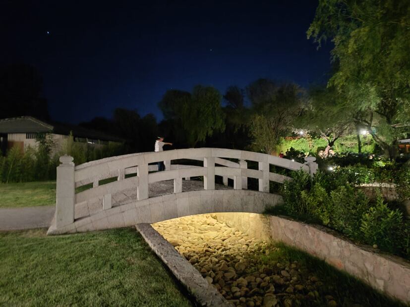 Foto: Regina Arellano