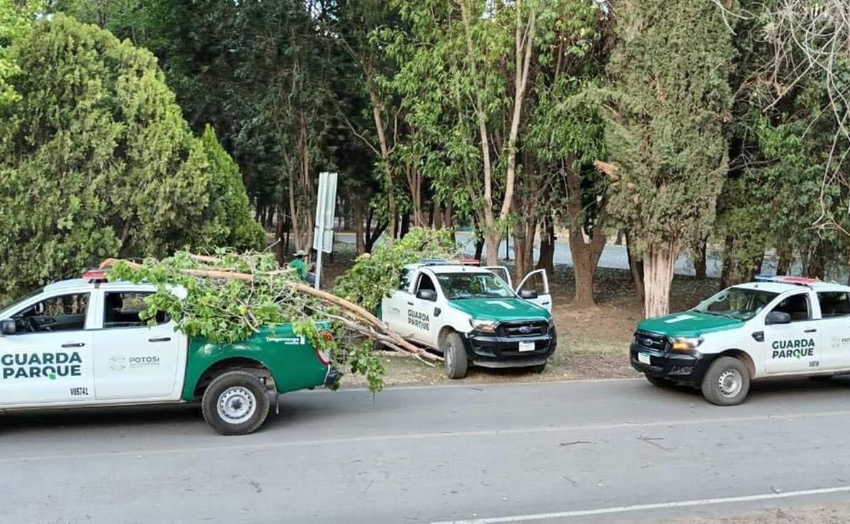 Seguirán los ventarrones en SLP, se esperan ráfagas de viento de hasta 90 km/h