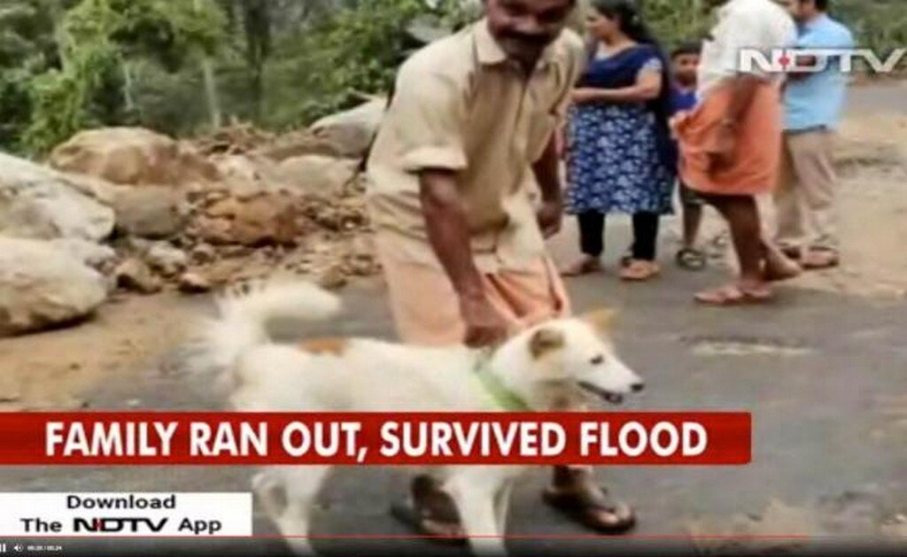 Perro salva a familia de inundaciones en India