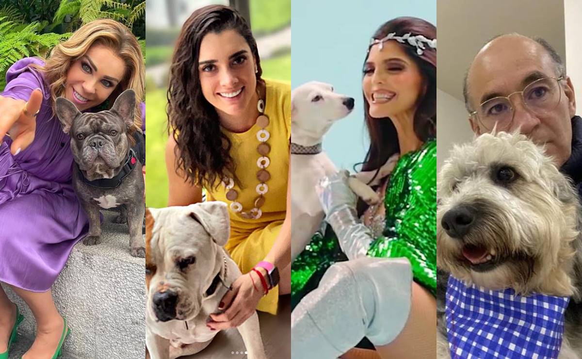 Día Mundial del Perro. Ana Bárbara, Rubí Ibarra, Enrique Galindo, y otros potosinos amantes de los perritos
