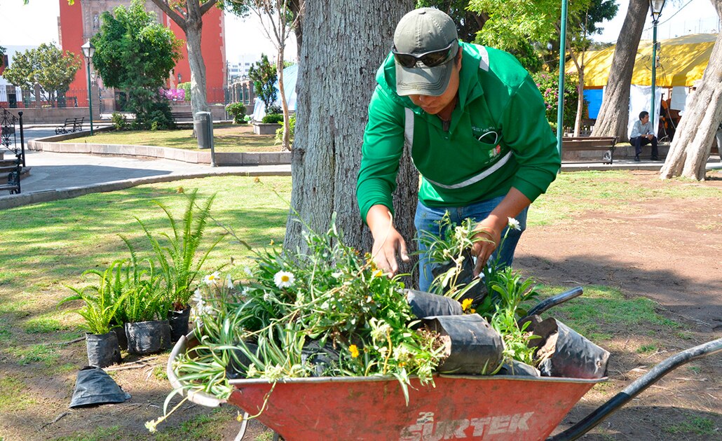 Reforestarán plazas y jardines de la capital potosina