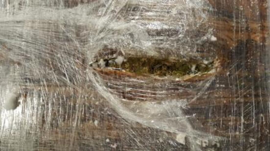 Aseguran 60 kilogramos de marihuana en aeropuerto de SLP