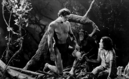 Fallece Steve Hawkes, actor que interpretó a Tarzán