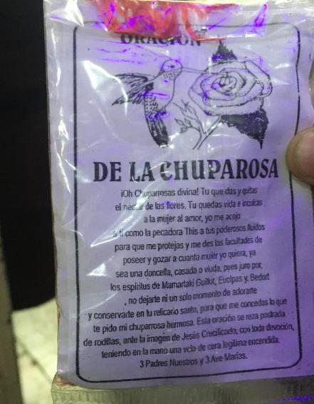 Activistas en SLP llaman a no utilizar colibríes para “amarres” este 14 de febrero
