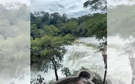 VIDEOS de Cascada El Meco sorprenden en redes por enorme caudal; un mini Niágara en SLP