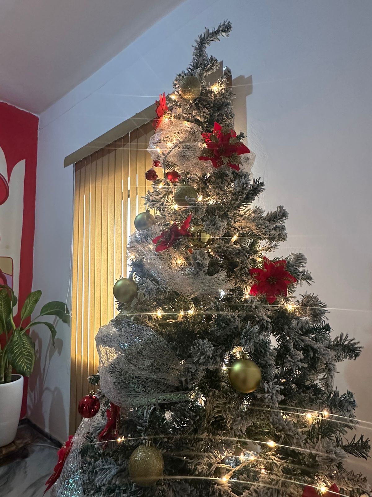 Primer domingo de Adviento, según la religión católica. Foto: EL UNIVERSAL SLP