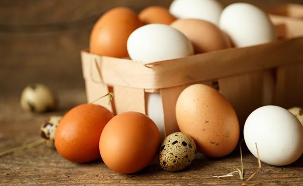 SLP subió 20 posiciones en producción de huevo: Sedarh