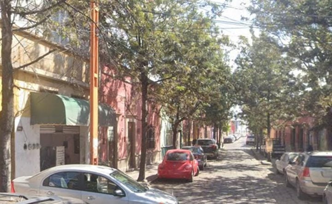 Árboles en San Luis Potosí. Foto: Google Maps