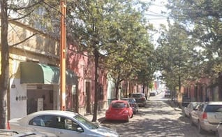 Avanza en el Congreso de SLP iniciativa para proteger árboles urbanos