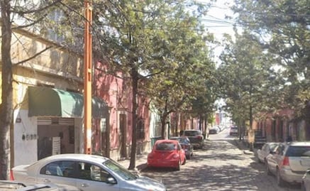 Avanza en el Congreso de SLP iniciativa para proteger árboles urbanos