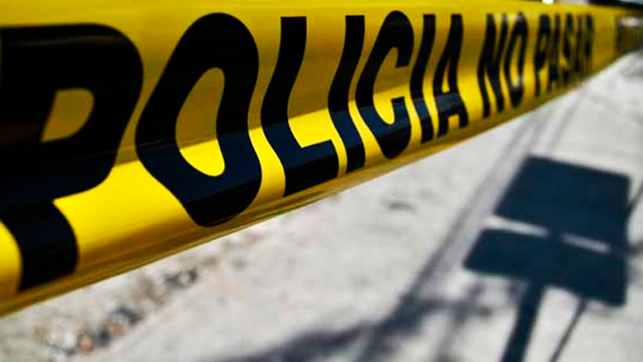 Encuentran feto entre maleza