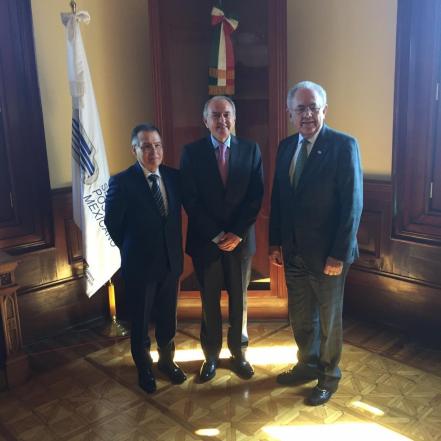 Elevarán a Tamtoc como zona arqueológica