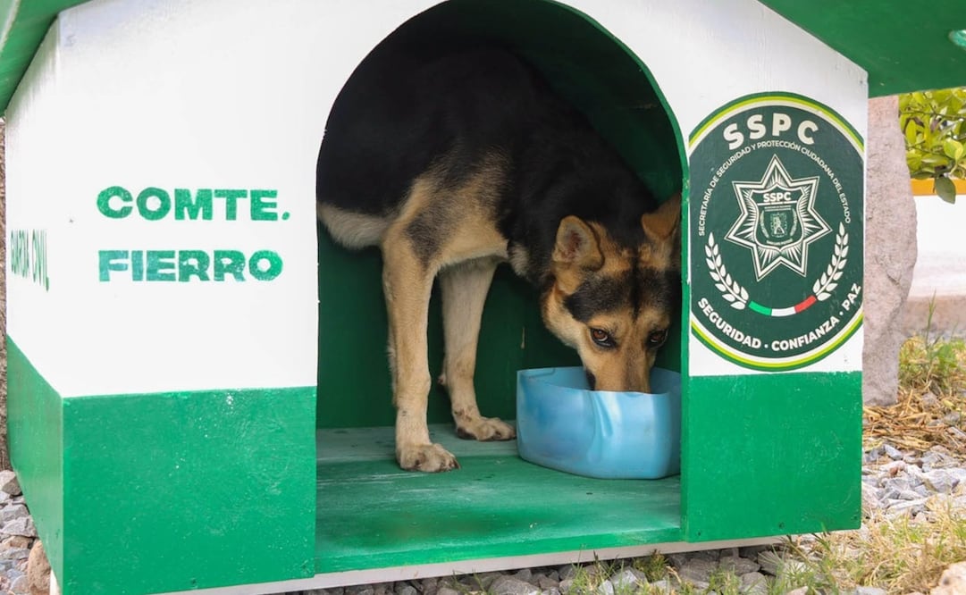 El "Comandante Fierro" se unió a la corporación de la Guardia Civil Estatal. Foto: Especial