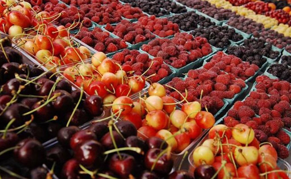 Consolida Centro Agroalimentario la participación de 40 empresas