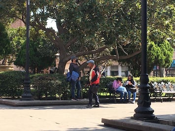 A la baja las hospitalizaciones por Covid-19 en SLP; se mantienen 191 internados