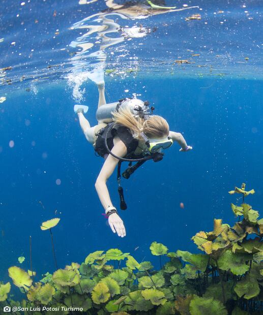 Foto: Fb@San Luis Potosí Turismo
