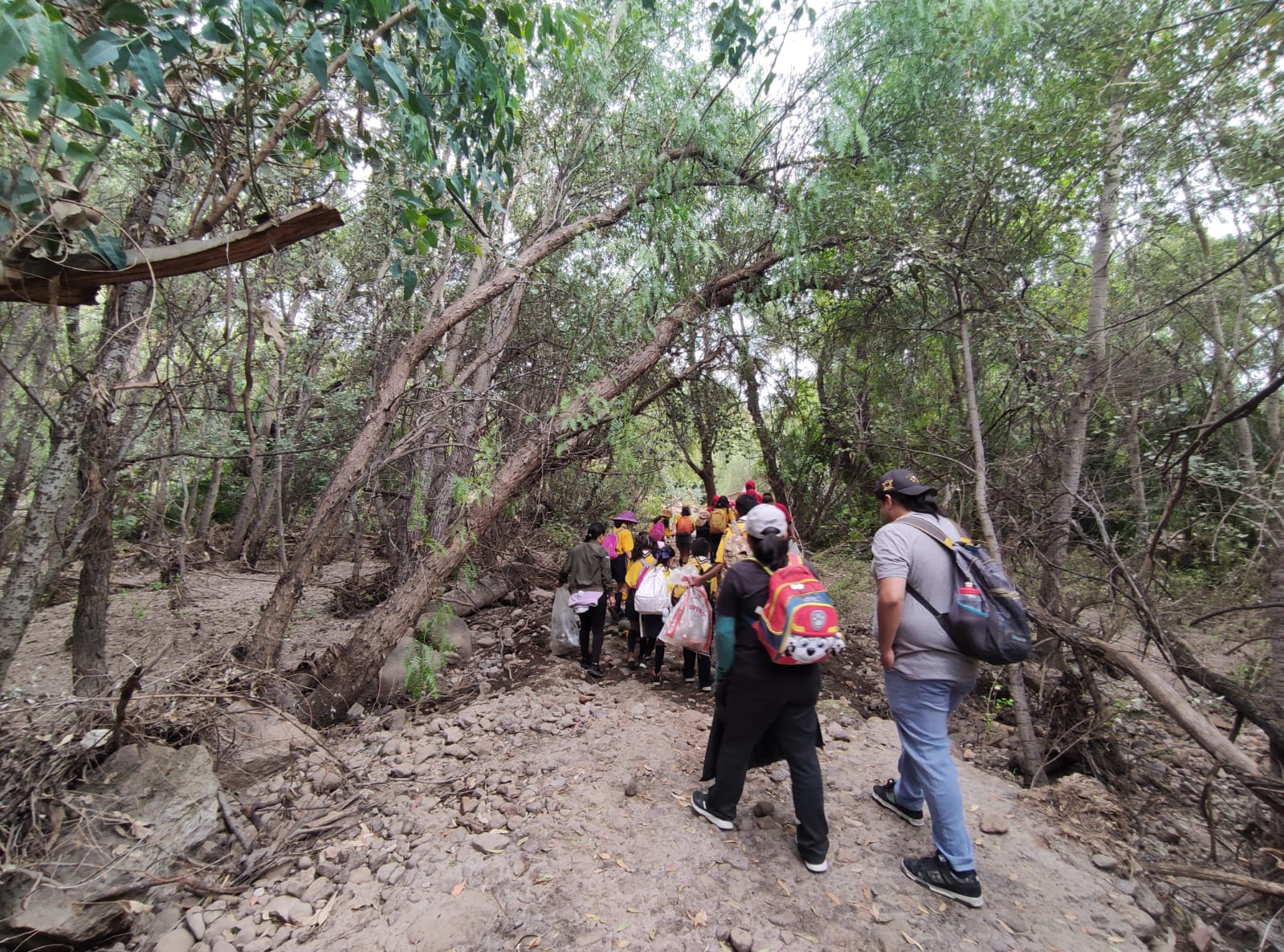 Personas voluntarias y asociaciones participaron en la jornada de limpieza