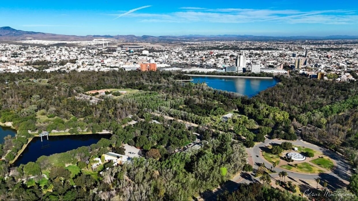 ¿Qué hacer estos últimos días de vacaciones en el parque Tangamanga de SLP?