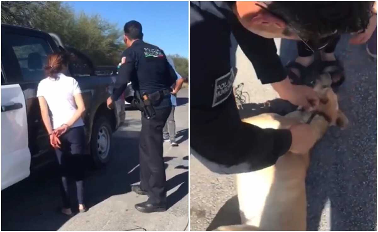 Policía de Rioverde rescata a perrita víctima de maltrato; mujer la arrastraba en una motocicleta. Fotos: Capturas de video