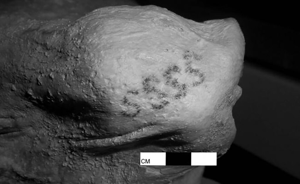 Descubren los primeros tatuajes del mundo