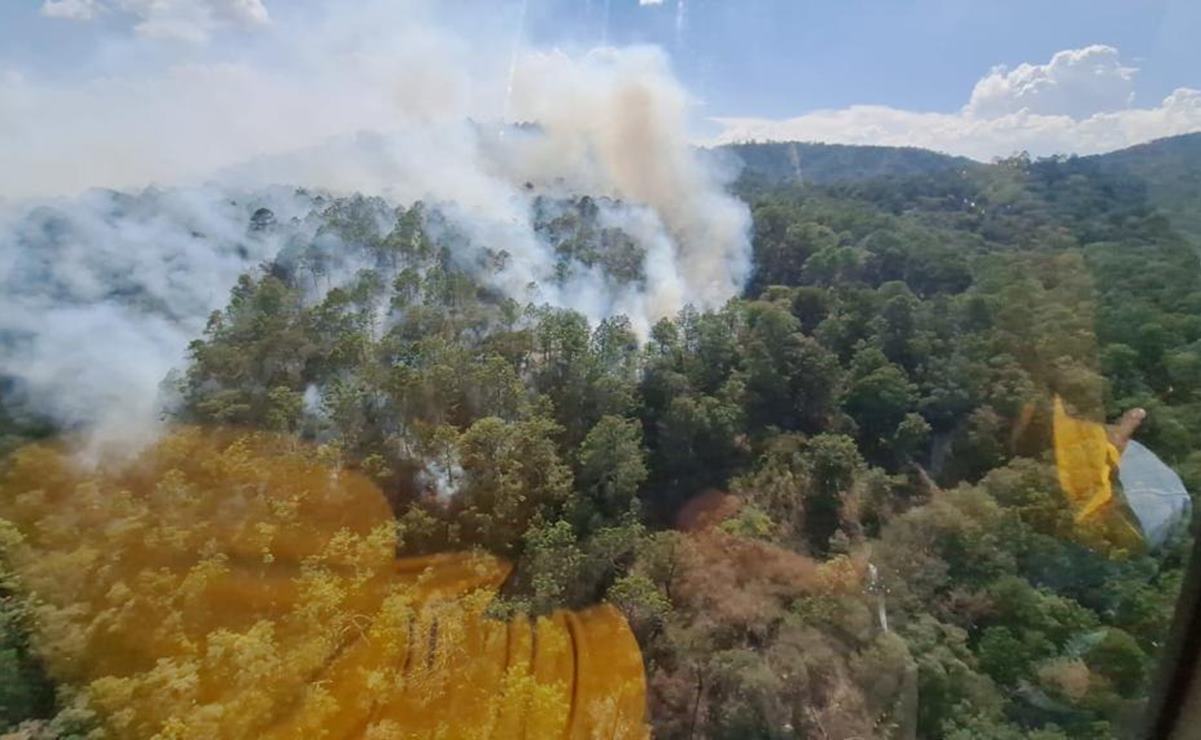 Incendio forestal ha dejado 30 hectáreas afectadas en límites de Guanajuato y SLP