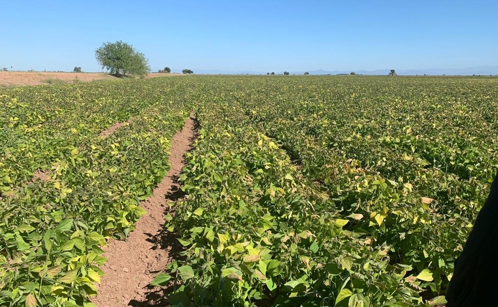 Foto: Archivo | El Universal