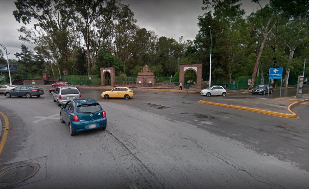 Tras operativo, desmienten envenenamiento de perros en Parque de Morales