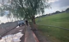 Otro caso de crueldad animal: matan a balazos a dos perros en Soledad mientras salían con su dueña