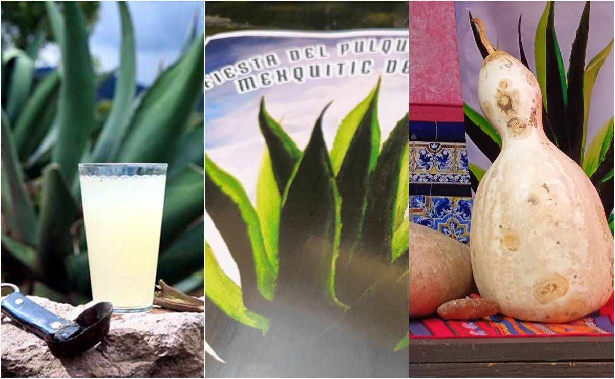 Fiesta del Pulque, así se celebrará a la bebida ancestral en Mexquitic de Carmona, SLP