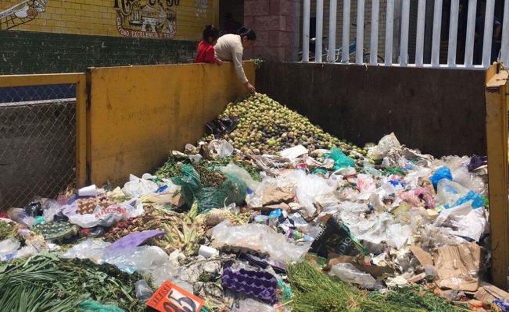 Preparan medidas para evitar desperdicio de toneladas de alimentos en México