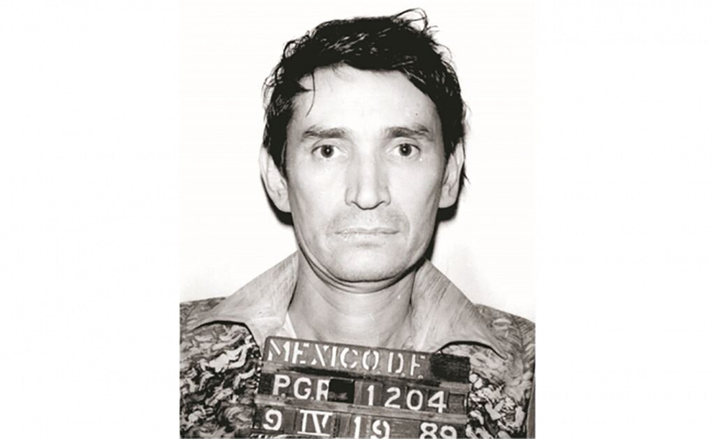 El negocio de la narcocultura: capos buscan registrar sus nombres como marcas