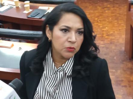 AMLO se niega a reconocer que estrategia de seguridad ha fallado : Diputada de MC