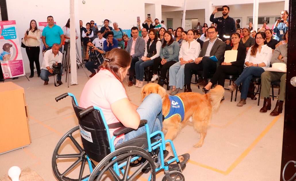 DIF municipal inició terapia asistida con perros