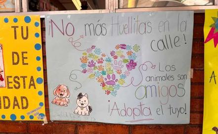 Implementan acciones en escuelas de SLP para fomentar el cuidado y respeto a los animales