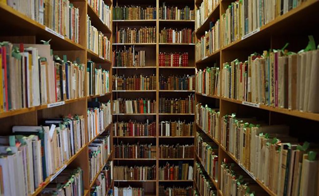 Escritora duerme a millones con sus historias