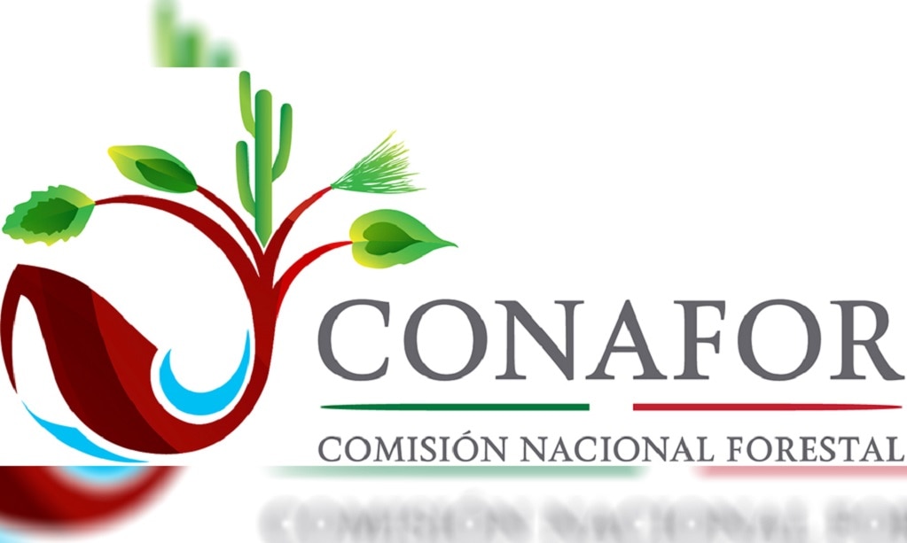 Se ha reducido efectos de incendios forestales: CONAFOR