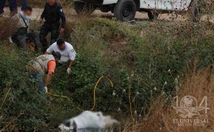Otro feminicidio en zona metropolitana de SLP