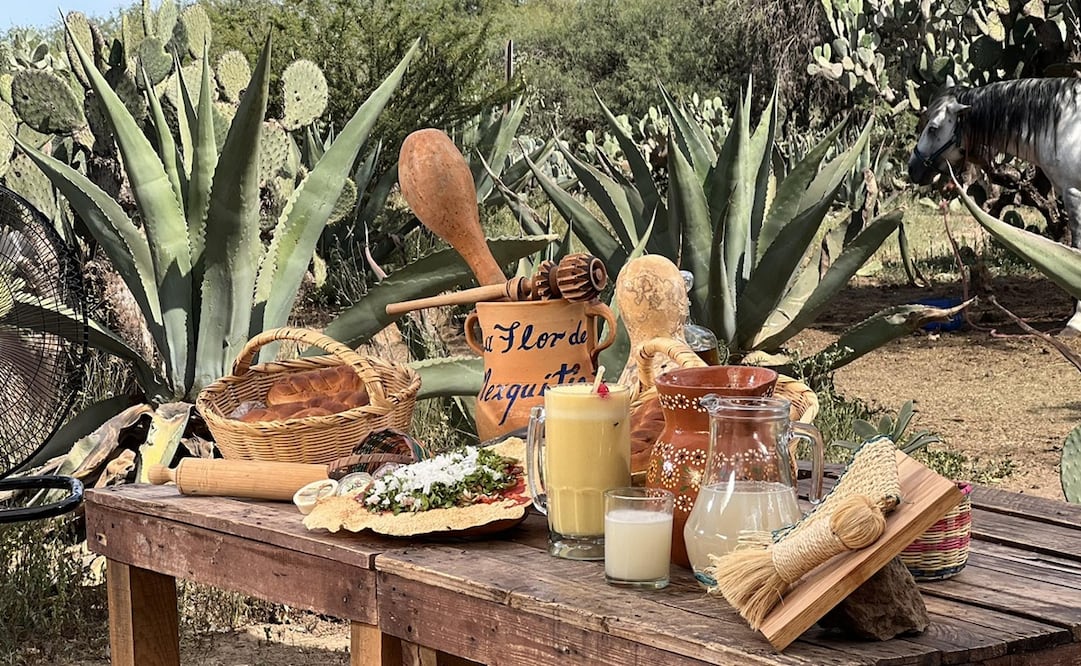 La Feria del Pulque de Mexquitic busca resaltar toda la cultura en torno al maguey. Foto: Pulquería Flor de Mexquitic
