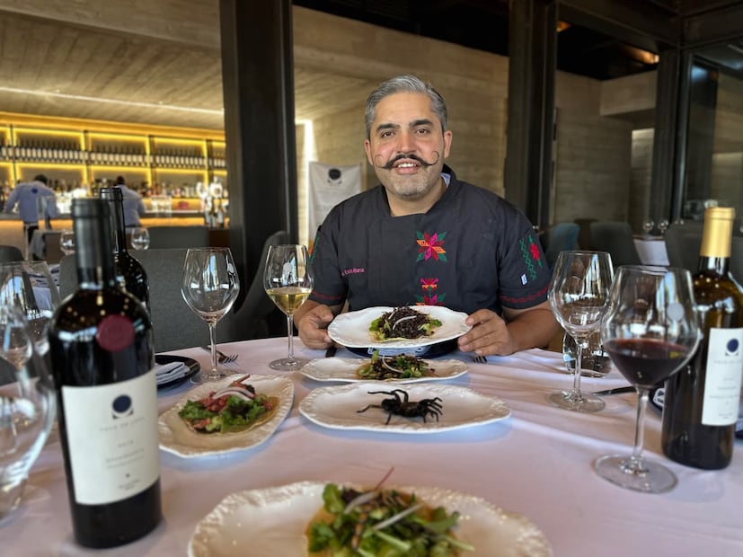 Tacos de insectos en el viñedo Pozo de Luna en Soledad, SLP.