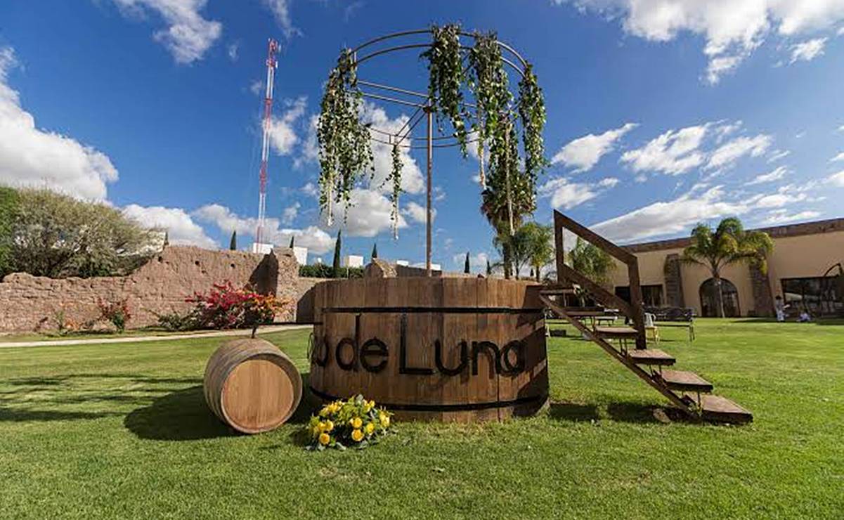 Viñedos que puedes conocer en San Luis Potosí y no sabías que existían 