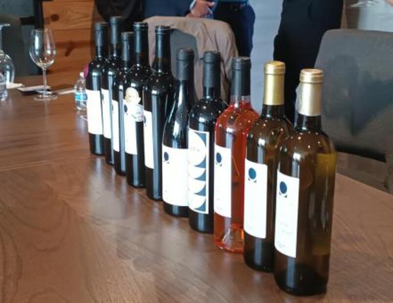 Pozo de Luna, el vino soledense que catapulta a SLP en el reconocimiento internacional