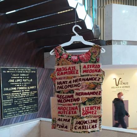 “V de Venus”, el proyecto cultural que arropa y difunde el trabajo de artistas potosinas